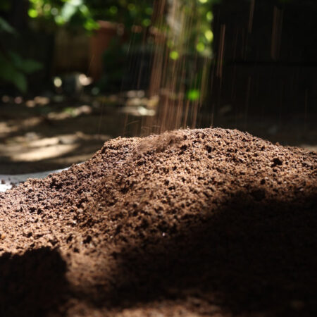 Neem-Powered Potting Soil – Lifetime Soil for Healthy Plants